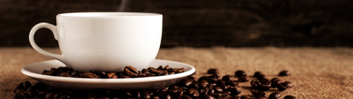 精品咖啡精致生活美食简约商业计划书模版