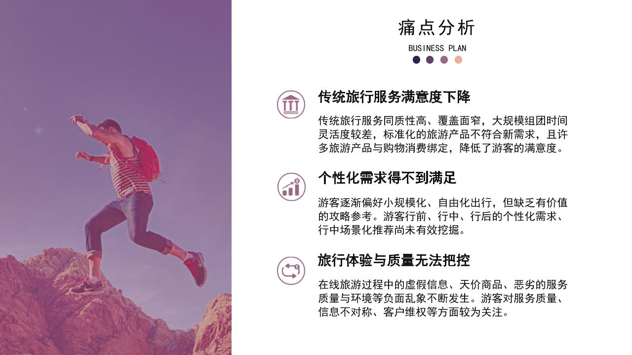 新型旅游服务平台商业计划书-undefined