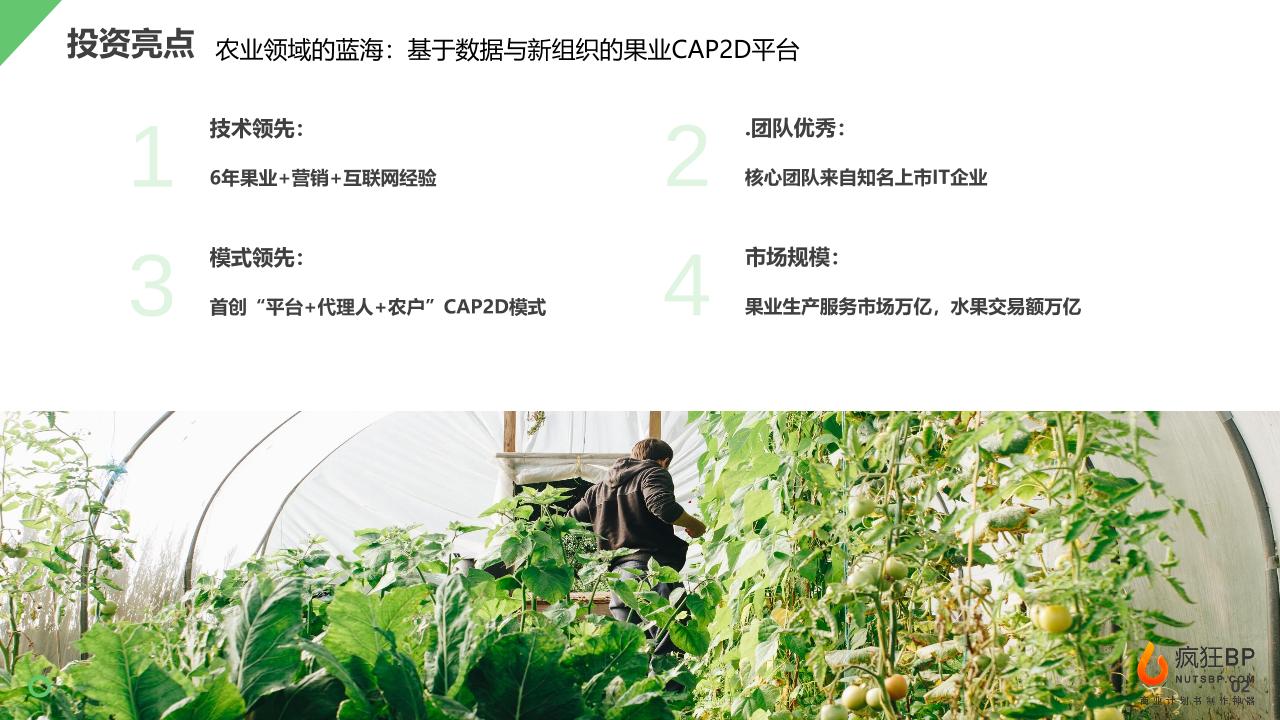 农产品生鲜智慧服务平台商业计划书-undefined
