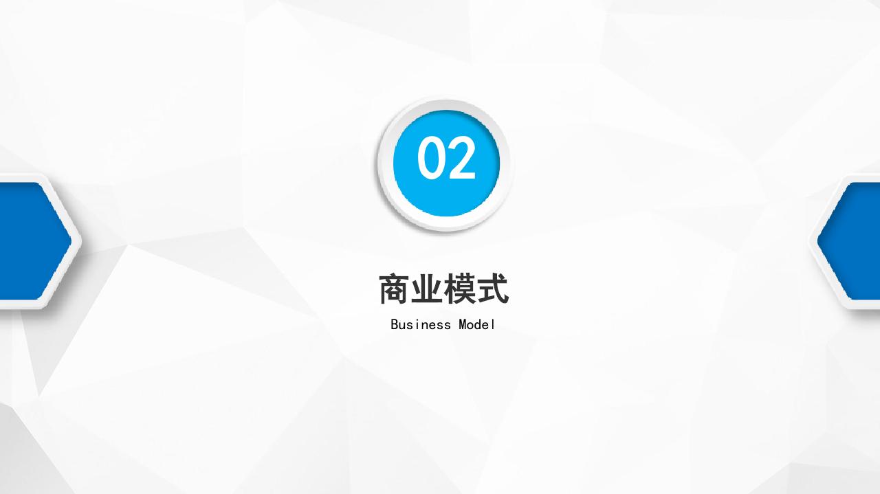 医疗健康服务平台商业计划书-undefined