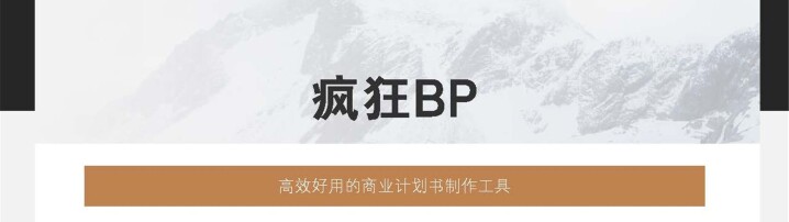 黑褐总结报告工作计划商务简约通用商业计划书模版